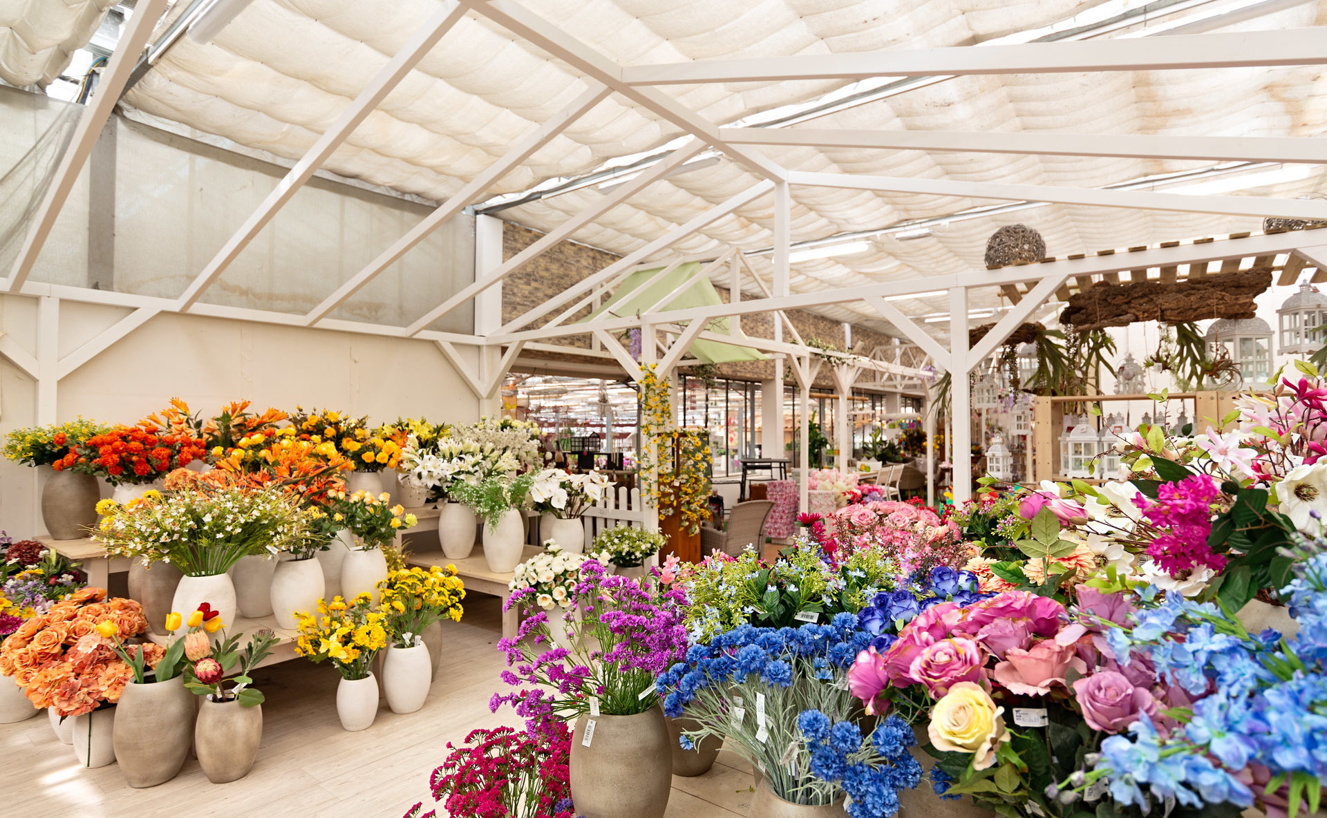 _DSC5100-2 _DSC5100-2