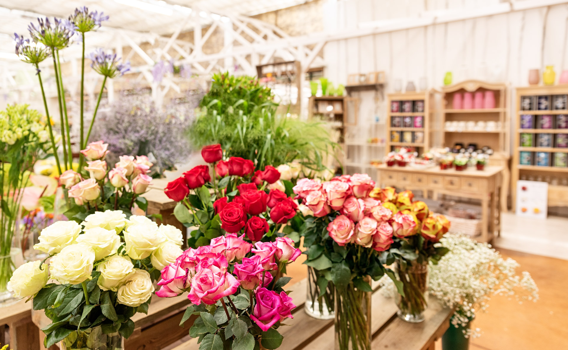 _DSC9562-2 _DSC9562-2